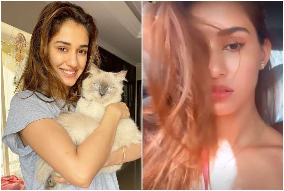 Disha Patani Disha Patani- India TV Hindi