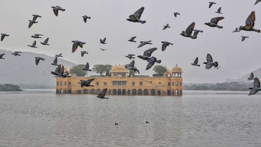 IMD Alert cold wave predicted in nagaur pali sikar alwar bharatpur churu bikaner ganganagar hanumang IMD Alert cold wave predicted in nagaur pali sikar alwar bharatpur churu bikaner ganganagar hanumang- India TV Hindi