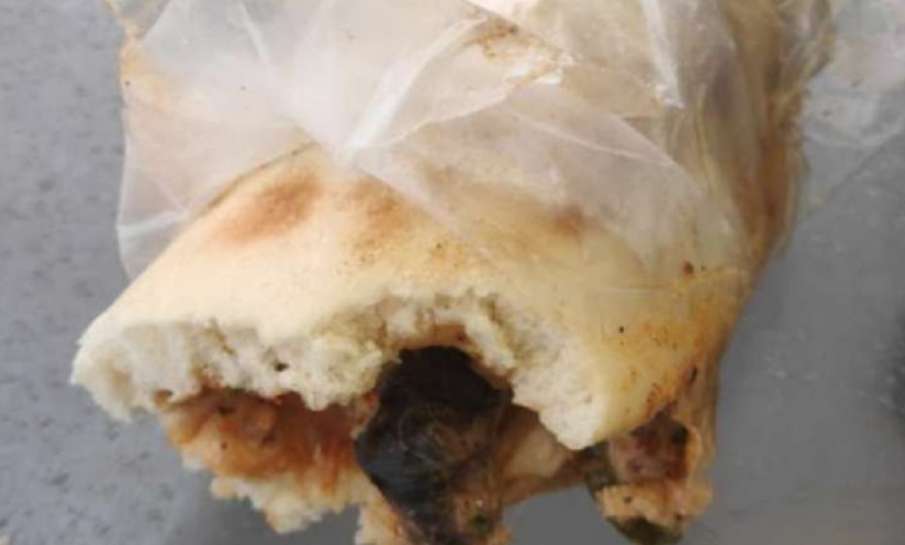 Lahore cafe sealed after 'dead rat' shawarma video goes viral Lahore cafe sealed after 'dead rat' shawarma video goes viral- India TV Hindi