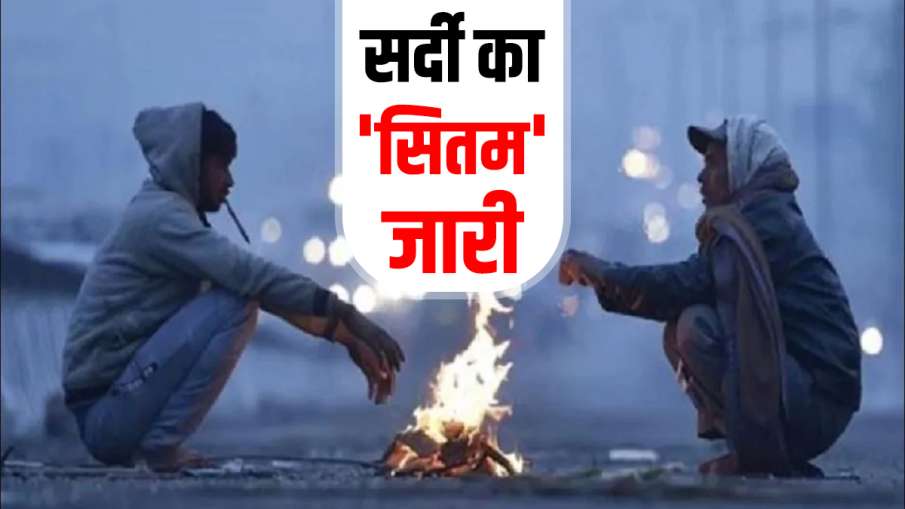 delhi punjab haryana minimum temperature dense fog cold wave weather imd alert latest news updates उ delhi punjab haryana minimum temperature dense fog cold wave weather imd alert latest news updates उ- India TV Hindi