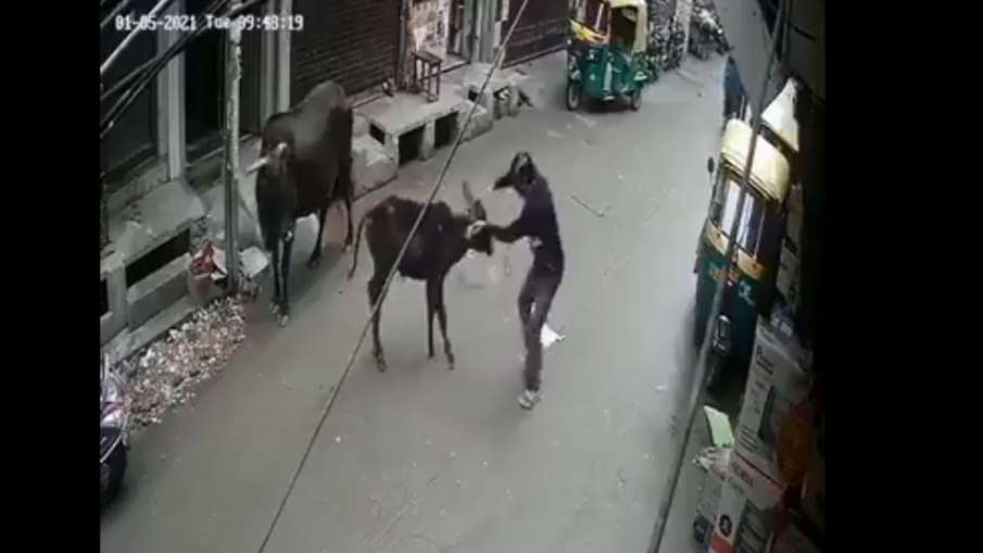 बेजुबान को पत्थरों... बेजुबान को पत्थरों...- India TV Hindi