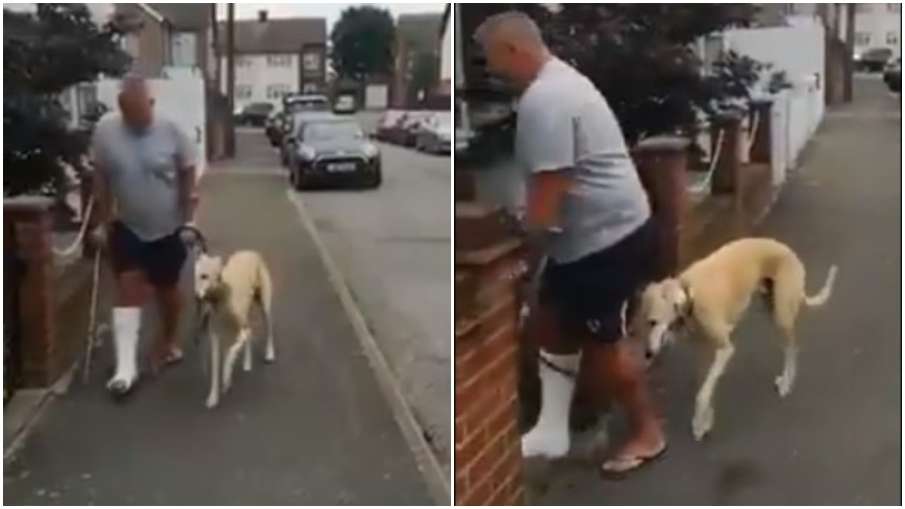 dog video dog video- India TV Hindi