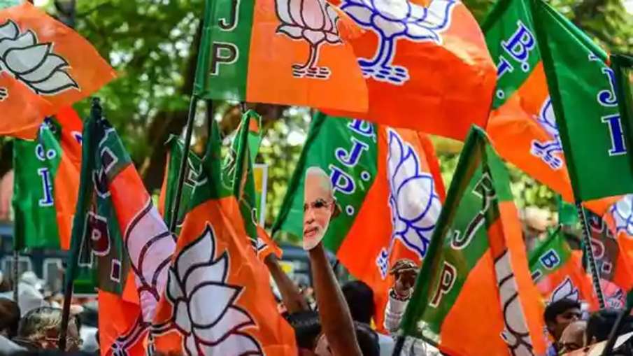 Gujarat Local Body, Gujarat Local Body Elections, Gujarat Local Body Elections Result 2021 Gujarat Local Body, Gujarat Local Body Elections, Gujarat Local Body Elections Result 2021- India TV Hindi