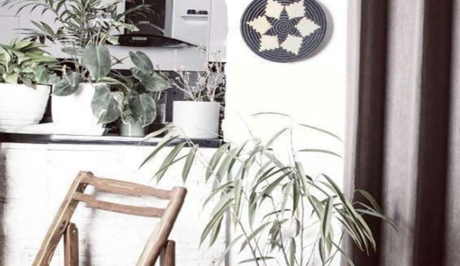 Vastu Tips: दक्षिण-पश्चिम सहित इन दिशाओं में बिल्कुल भी न लगाएं ये चीजें, होगी धनहानि Vastu Tips: दक्षिण-पश्चिम सहित इन दिशाओं में बिल्कुल भी न लगाएं ये चीजें, होगी धनहानि- India TV Hindi