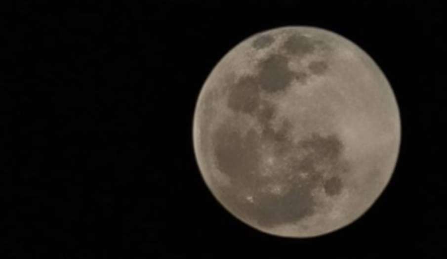 Mauni Amavasya 2021: मौनी अमावस्या के दिन बन रहा खास संयोग, जानिए शुभ मुहूर्त और पूजा विधि Mauni Amavasya 2021: मौनी अमावस्या के दिन बन रहा खास संयोग, जानिए शुभ मुहूर्त और पूजा विधि- India TV Hindi