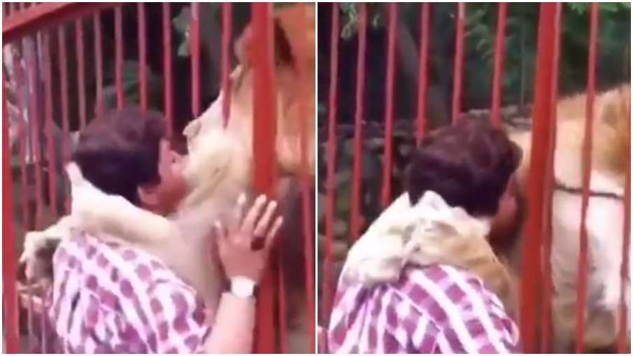 viral video viral video - India TV Hindi