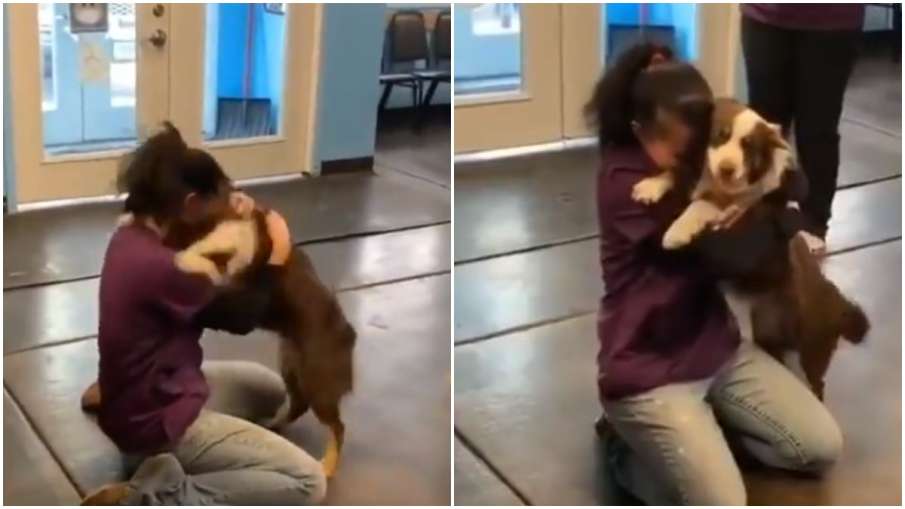 dog and women dog and women - India TV Hindi