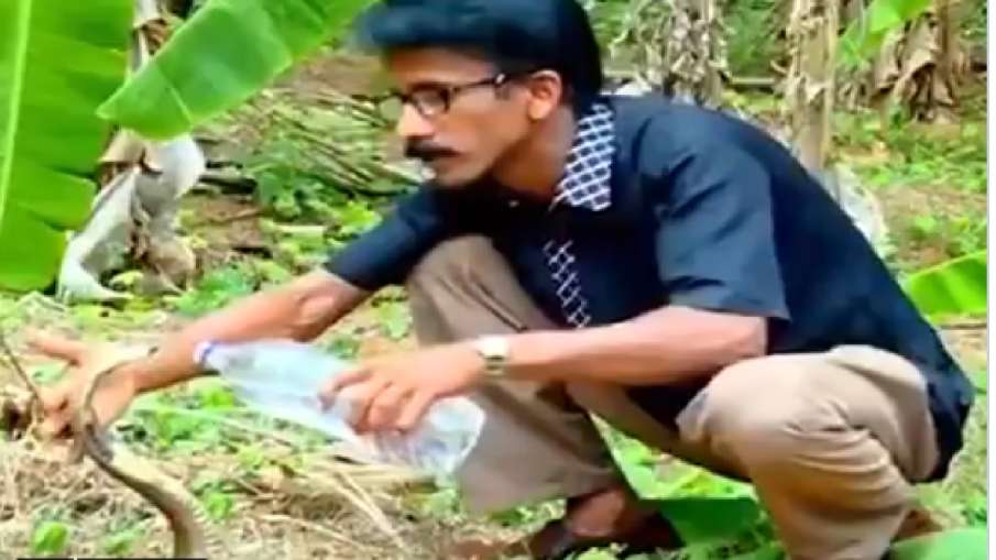 Viral Video Viral Video- India TV Hindi