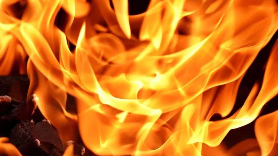 Widow from Medak, Medak Widow Death, Medak Widow Fire, Medak Widow Debtor Widow from Medak, Medak Widow Death, Medak Widow Fire, Medak Widow Debtor- India TV Hindi