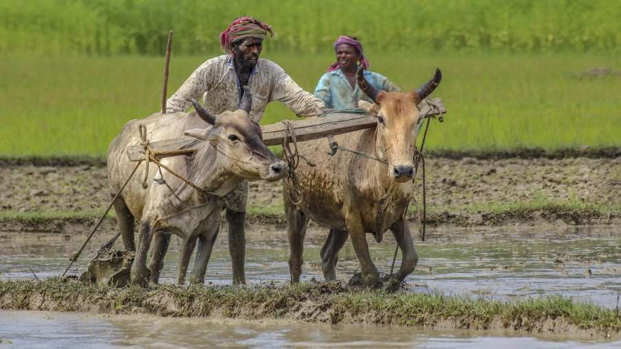 kisan agriculture start up farmer technology narendra modi speech kisan agriculture start up farmer technology narendra modi speech