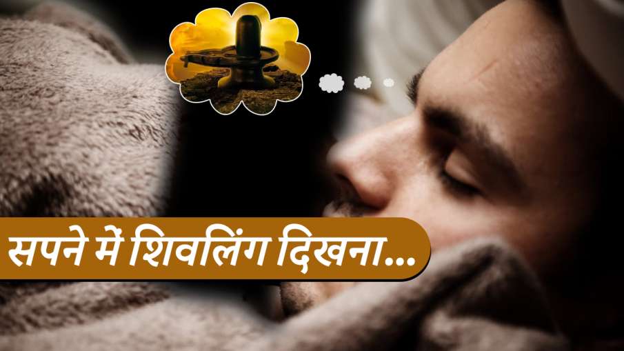 सपने में शिवलिंग सहित दिखें ये चीजें तो समझ लें कि आपकी मनोकामना होने वाली है पूरी सपने में शिवलिंग सहित दिखें ये चीजें तो समझ लें कि आपकी मनोकामना होने वाली है पूरी- India TV Hindi