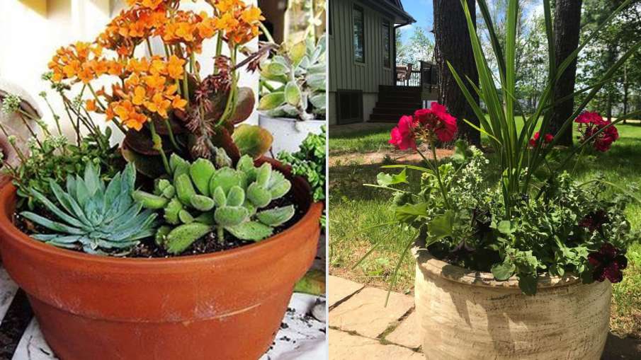 Vastu Tips: घर की दक्षिण-पश्चिम दिशा में रखें इस तरह के मिट्टी से बनीं चीजें, होगा शुभ Vastu Tips: घर की दक्षिण-पश्चिम दिशा में रखें इस तरह के मिट्टी से बनीं चीजें, होगा शुभ- India TV Hindi