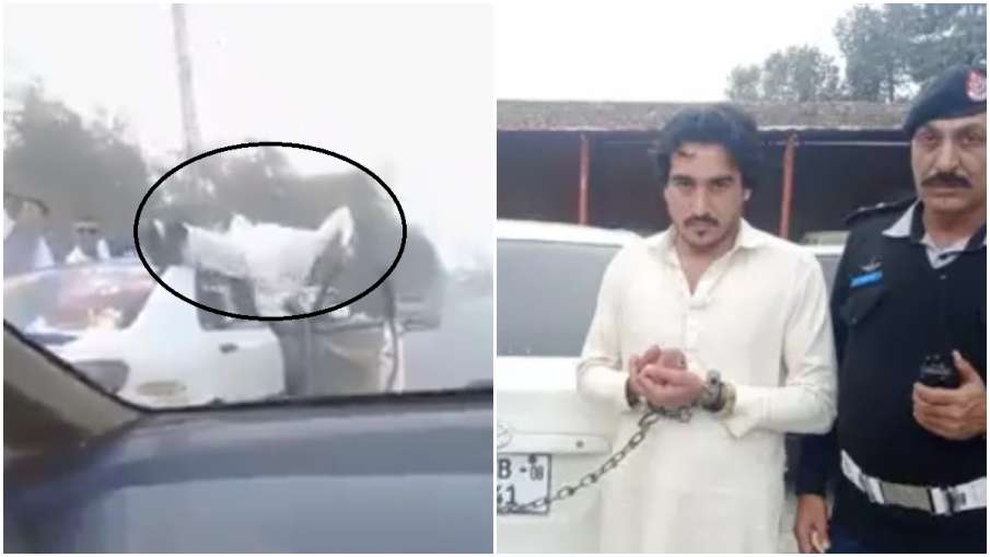 pakistan viral video pakistan viral video- India TV Hindi