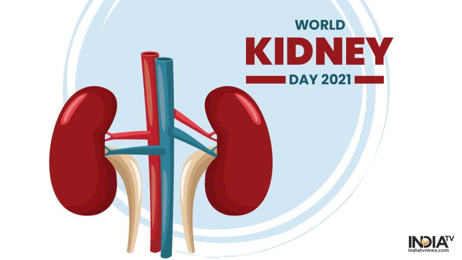 world kidney day world kidney day - India TV Hindi