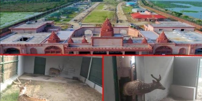 3.19 lakh children of primary will visit Gorakhpur Zoo... 3.19 lakh children of primary will visit Gorakhpur Zoo...- India TV Hindi