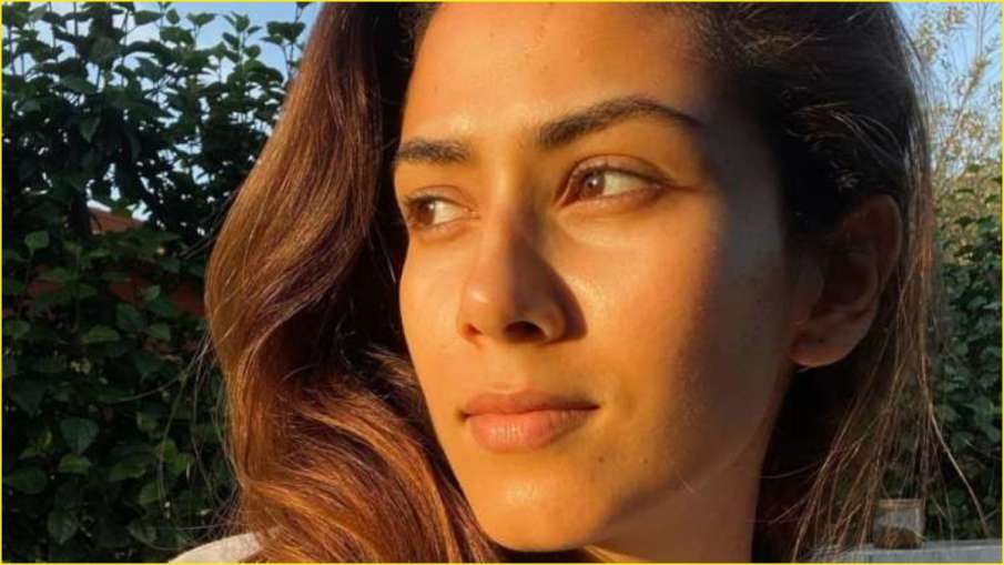 Mira Rajput Mira Rajput- India TV Hindi