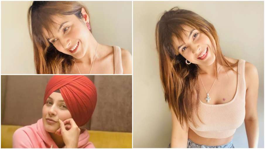 शहनाज गिल instagram- shehnaaz gill शहनाज गिल instagram- shehnaaz gill- India TV Hindi