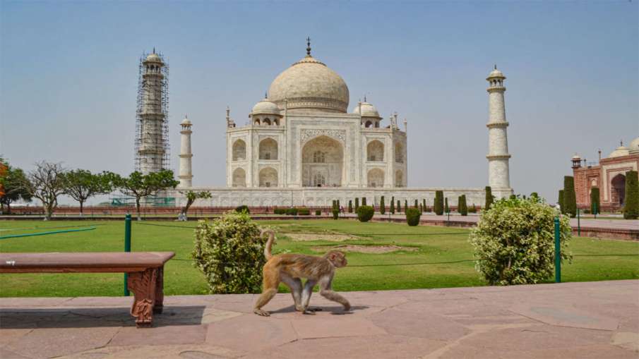 - India TV Hindi