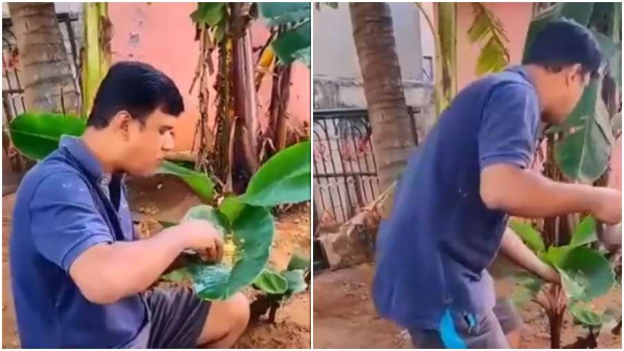 viral video viral video- India TV Hindi