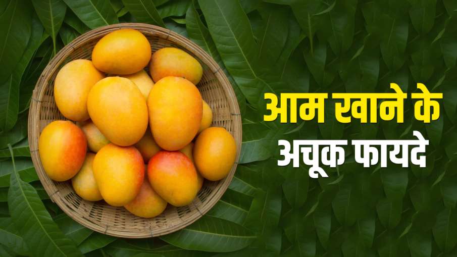 Mangoes Mangoes- India TV Hindi