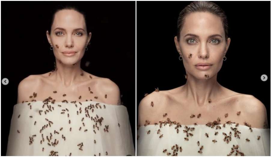 angelina jolie bees photoshoot with bees for 18 mins breaks internet watch viral video angelina jolie bees photoshoot with bees for 18 mins breaks internet watch viral video - India TV Hindi
