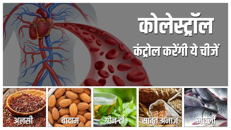 foods to reduce cholesterol level foods to reduce cholesterol level - India TV Hindi