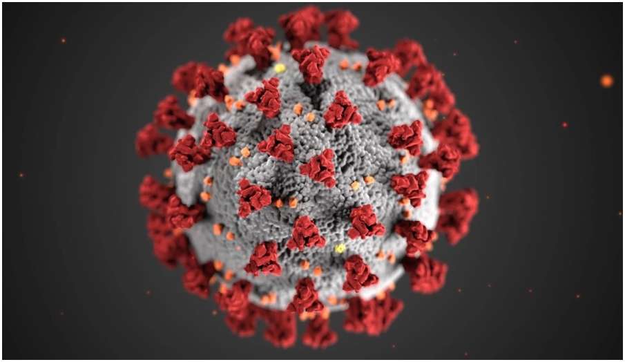 Coronavirus live updates in hindi white fungus black fungus covid19 third wave vaccination Coronavirus live updates in hindi white fungus black fungus covid19 third wave vaccination- India TV Hindi