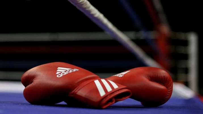 Boxing Gloves Boxing Gloves- India TV Hindi