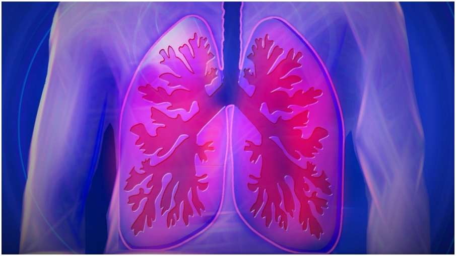 lungs, corona lungs, corona- India TV Hindi