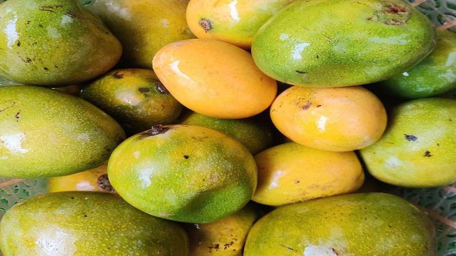 cannabis hidden in mango truck DRI Indore arrests three आम की आड़ में ले जाया जा रहा था 3000 किलो गा cannabis hidden in mango truck DRI Indore arrests three आम की आड़ में ले जाया जा रहा था 3000 किलो गा- India TV Hindi