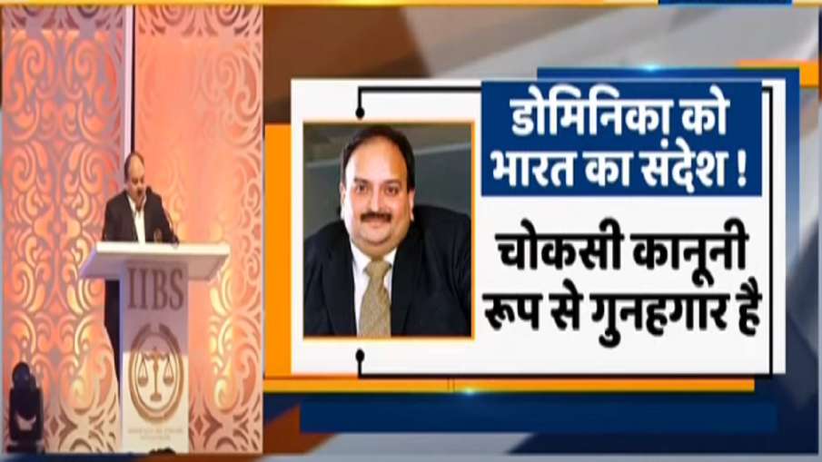 Mehul Choksi India Dominica he committed huge crime चोकसी को लाने की कोशिशें तेज! भारत ने डोमिनिका स Mehul Choksi India Dominica he committed huge crime चोकसी को लाने की कोशिशें तेज! भारत ने डोमिनिका स- India TV Hindi
