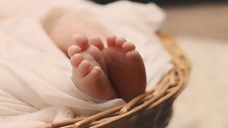 लापरवाही: इंदौर के सरकारी अस्पताल में नवजात बच्चे की एड़ी कुतर गए चूहे लापरवाही: इंदौर के सरकारी अस्पताल में नवजात बच्चे की एड़ी कुतर गए चूहे- India TV Hindi