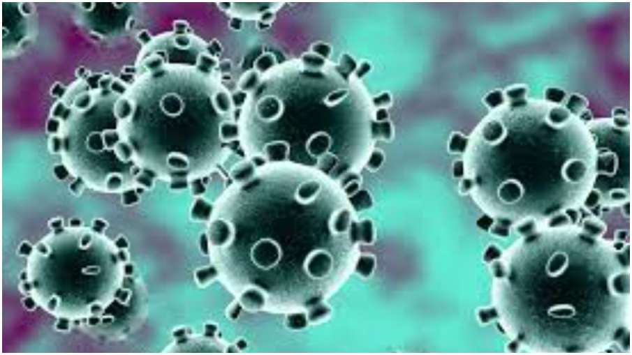 coronavirus coronavirus- India TV Hindi