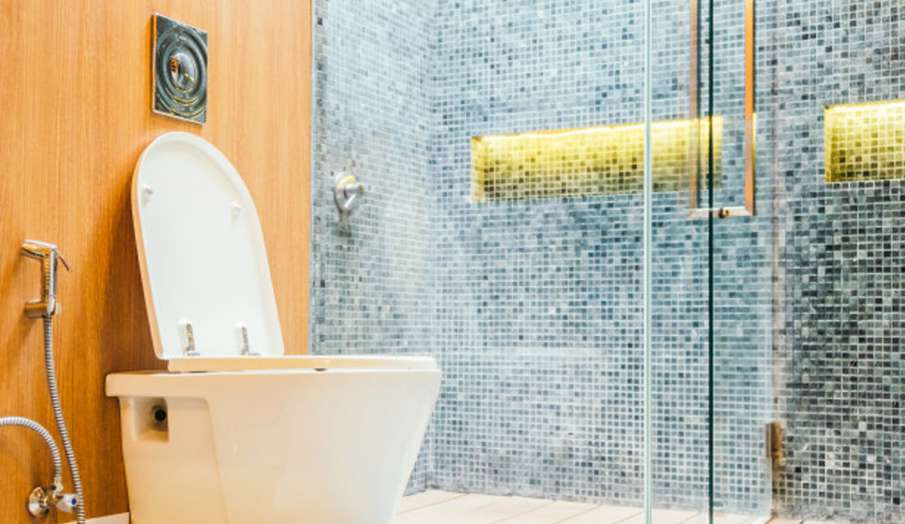 Vastu Tips: इस दिशा में बिल्कुल ना बनवाएं शौचालय, पड़ेगा बुरा असर Vastu Tips: इस दिशा में बिल्कुल ना बनवाएं शौचालय, पड़ेगा बुरा असर- India TV Hindi