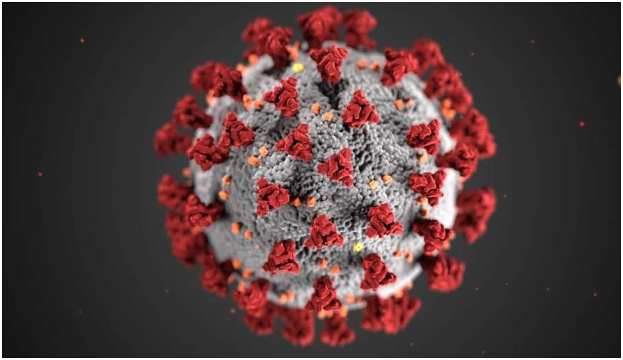 Coronavirus live updates in hindi covid19 vaccination fake news fact check latest news in hindi Coronavirus live updates in hindi covid19 vaccination fake news fact check latest news in hindi- India TV Hindi