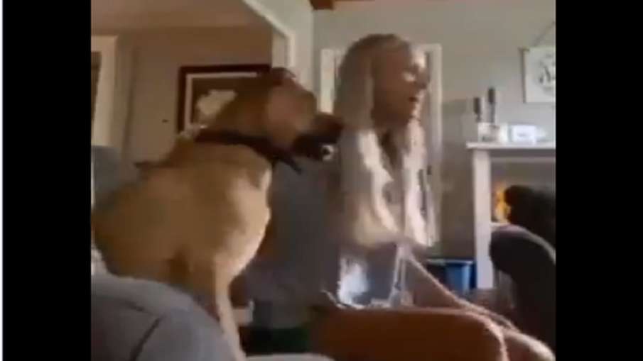 dog viral video dog viral video- India TV Hindi