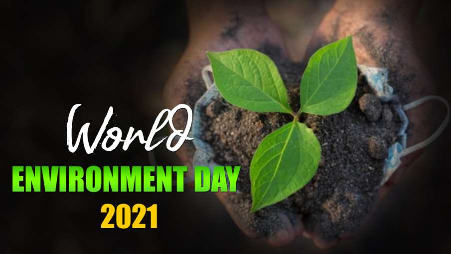 world environment day 2021 world environment day 2021- India TV Hindi