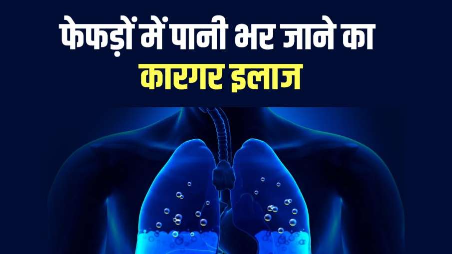 फेफड़ों में पानी भर जाने के कारण हैं परेशान तो अपनाएं ये घरेलू नुस्खे, लंग्स भी होंगे मजबूत फेफड़ों में पानी भर जाने के कारण हैं परेशान तो अपनाएं ये घरेलू नुस्खे, लंग्स भी होंगे मजबूत- India TV Hindi