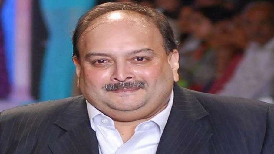 मेहुल चोकसी की जमानत याचिका पर डोमिनिका हाईकोर्ट में सुनवाई 11 जून तक टली मेहुल चोकसी की जमानत याचिका पर डोमिनिका हाईकोर्ट में सुनवाई 11 जून तक टली- India TV Hindi