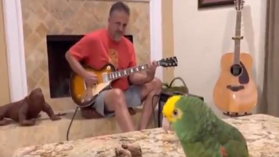 Parrot singing Parrot singing- India TV Hindi
