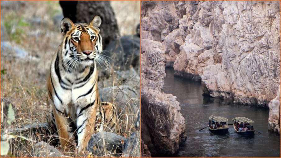 Madhya Pradesh Tourism Madhya Pradesh Tourism - India TV Hindi