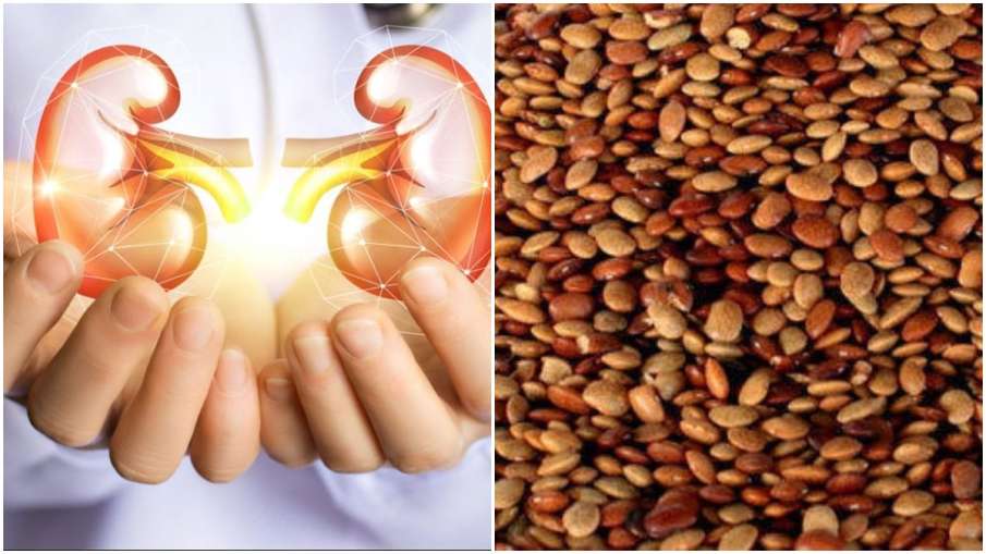 kidney stone kidney stone - India TV Hindi