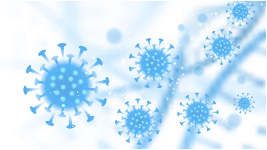 coronavirus coronavirus - India TV Hindi