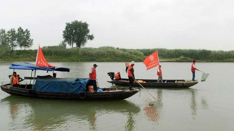 Yangtze River, Yangtze River Fishing Ban, Yangtze River Fishing, Yangtze River China Yangtze River, Yangtze River Fishing Ban, Yangtze River Fishing, Yangtze River China- India TV Hindi