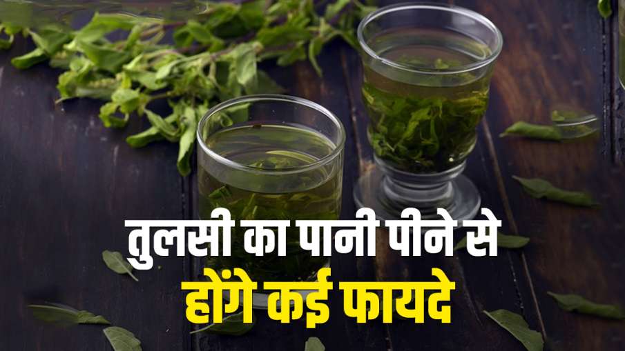 Tulsi water Tulsi water - India TV Hindi