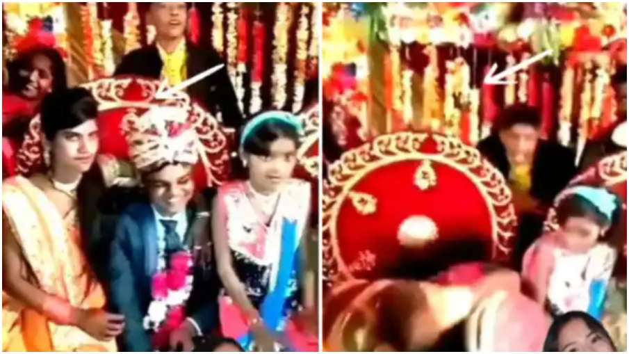 Viral Video Viral Video- India TV Hindi