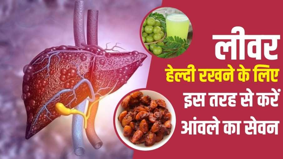 amla amla - India TV Hindi