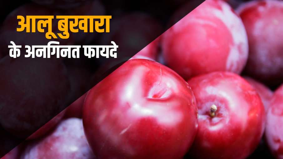 Aalu Bukhara or Plums Aalu Bukhara or Plums- India TV Hindi