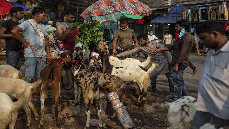 bakrid celebrations uttar pradesh cow camel sacrifice prohibited restrictions on gathering बकरीद पर bakrid celebrations uttar pradesh cow camel sacrifice prohibited restrictions on gathering बकरीद पर - India TV Hindi