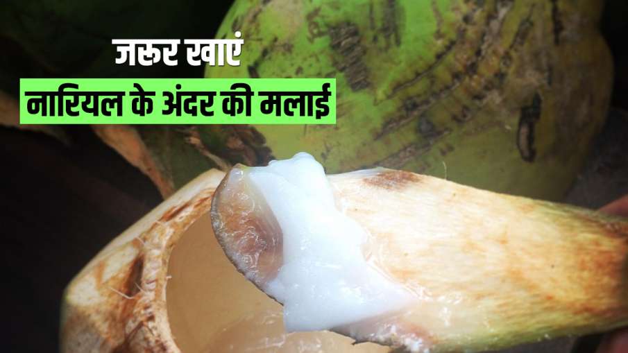 Nariyal ki malai ke fayade Nariyal ki malai ke fayade- India TV Hindi